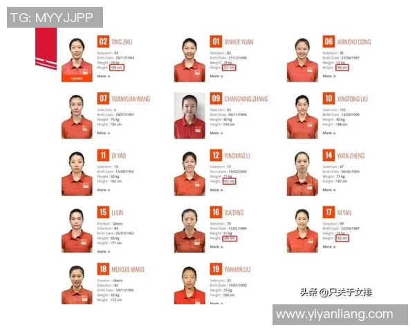 杭州排球队的节奏解析与深度剖析排球运动的魅力与挑战