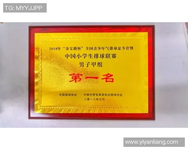 武汉排球队在冠军赛中的个人能力分析与表现评估